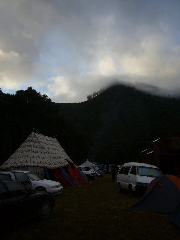 Travel - New Zealand - Aliennation